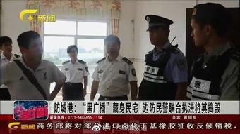 国产警械执法视频在线播放,震撼在线播放，揭秘执法现场