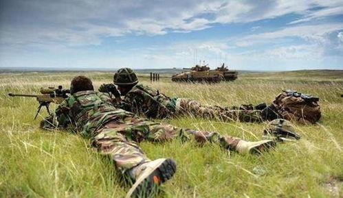 国产狙击手打歪炮视频大全,歪炮瞬间变精准，惊险瞬间尽收眼底