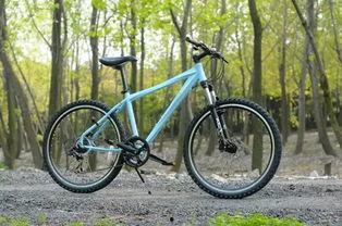 国产山地自行车测试视频,速度与激情的较量