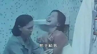 国产女同视频免费网站,探索国产女同视频免费网站的独特魅力