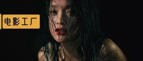 国产R级在线观看视频