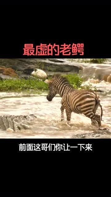 老鳄国产实战视频,国产实战视频深度解析  第3张