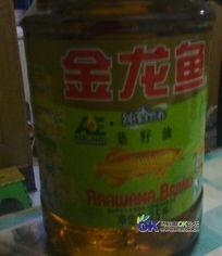 国产金龙鱼油视频  第2张